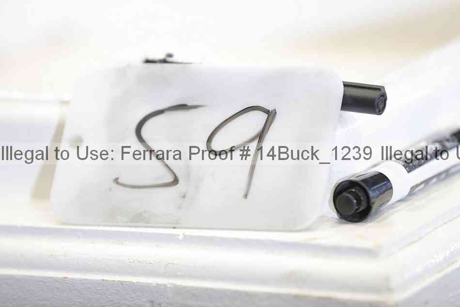 Proof Number 14buck_1239