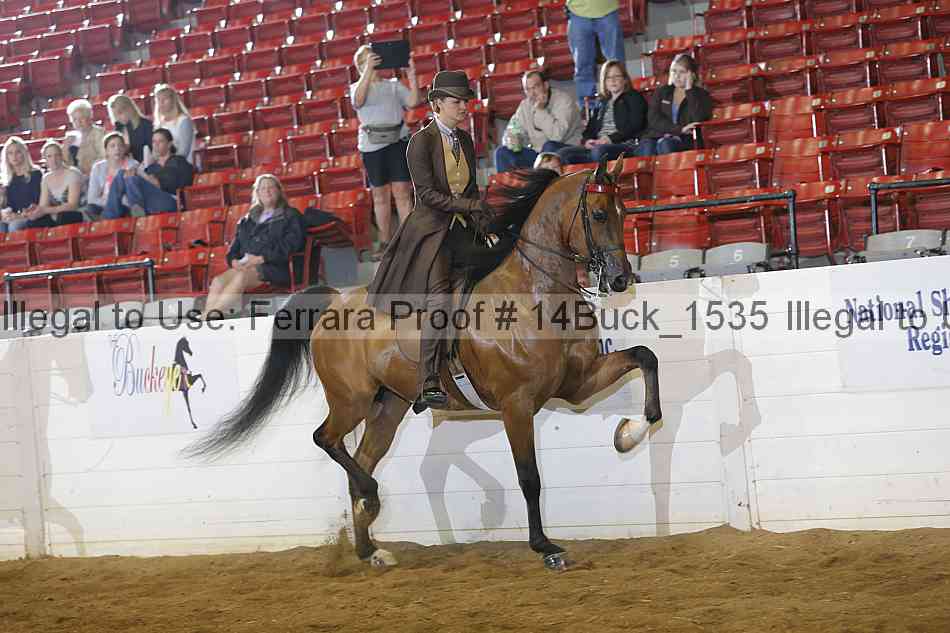 Proof Number 14buck_1535