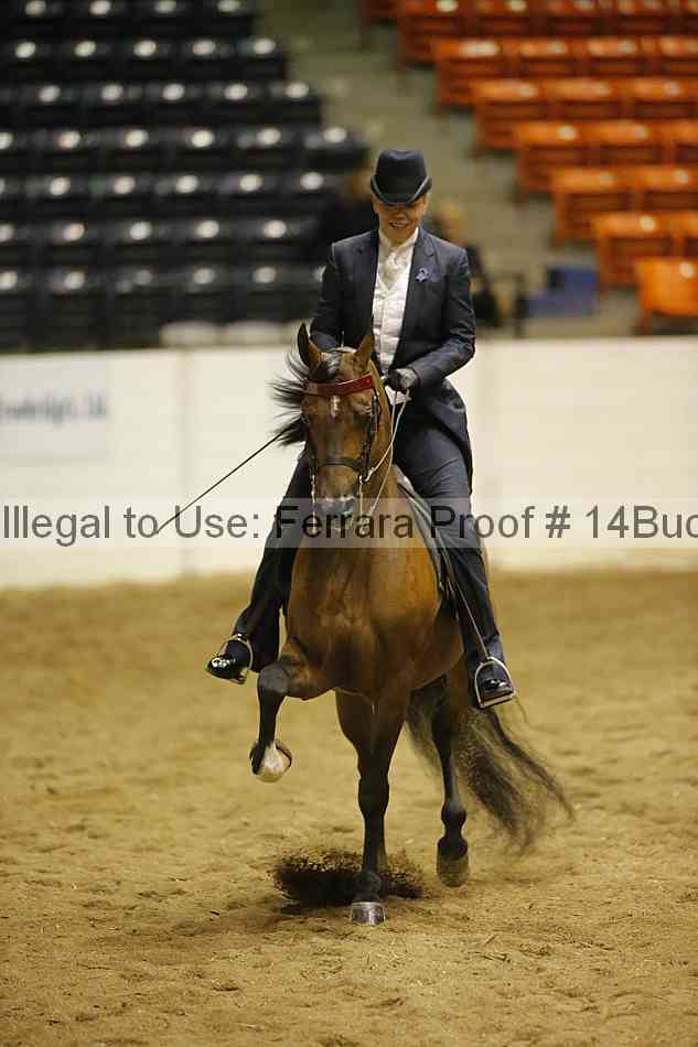 Proof Number 14buck_1581