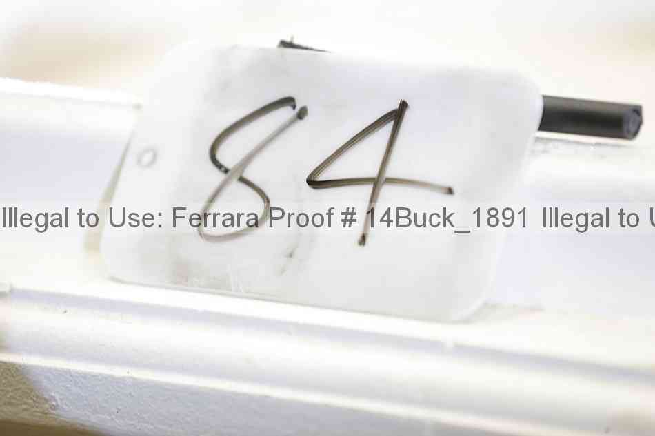 Proof Number 14buck_1891
