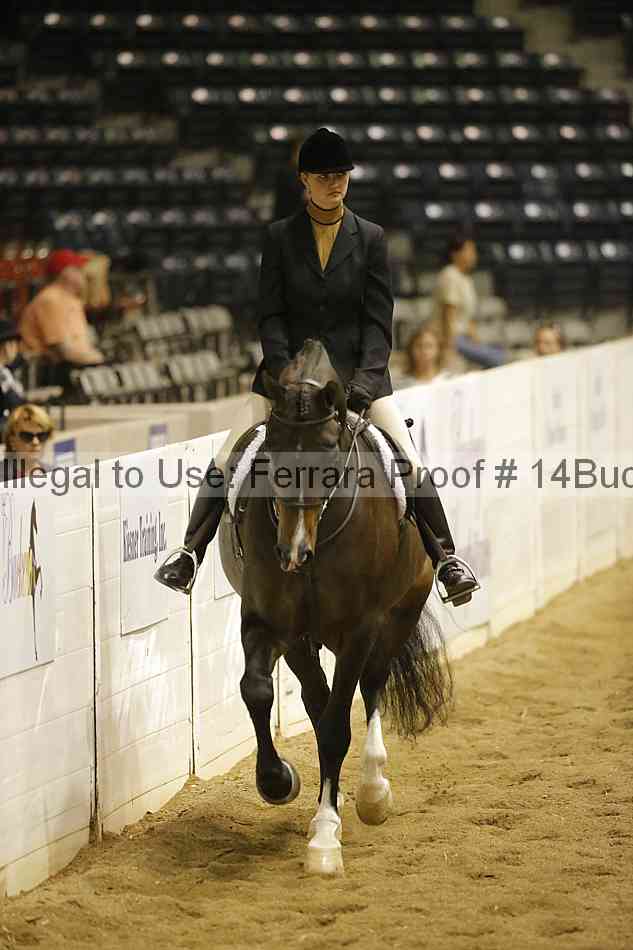 Proof Number 14buck_1902