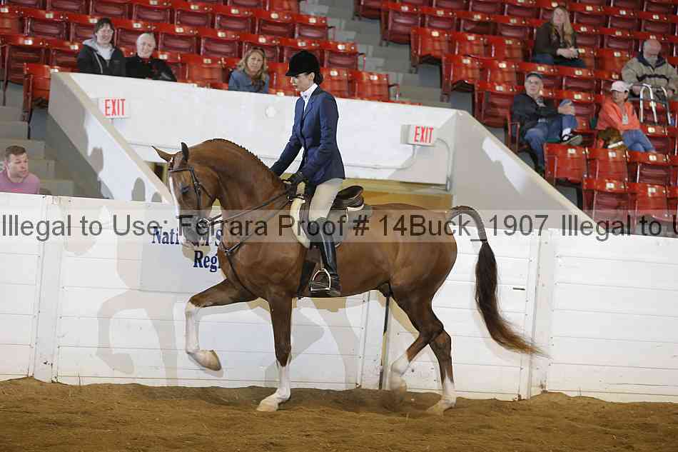Proof Number 14buck_1907