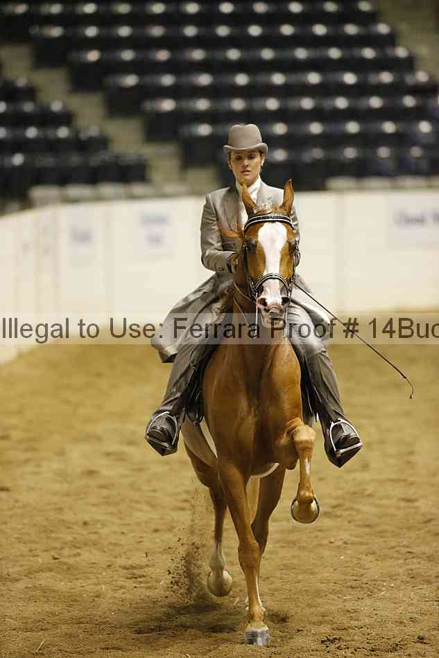 Proof Number 14buck_1949