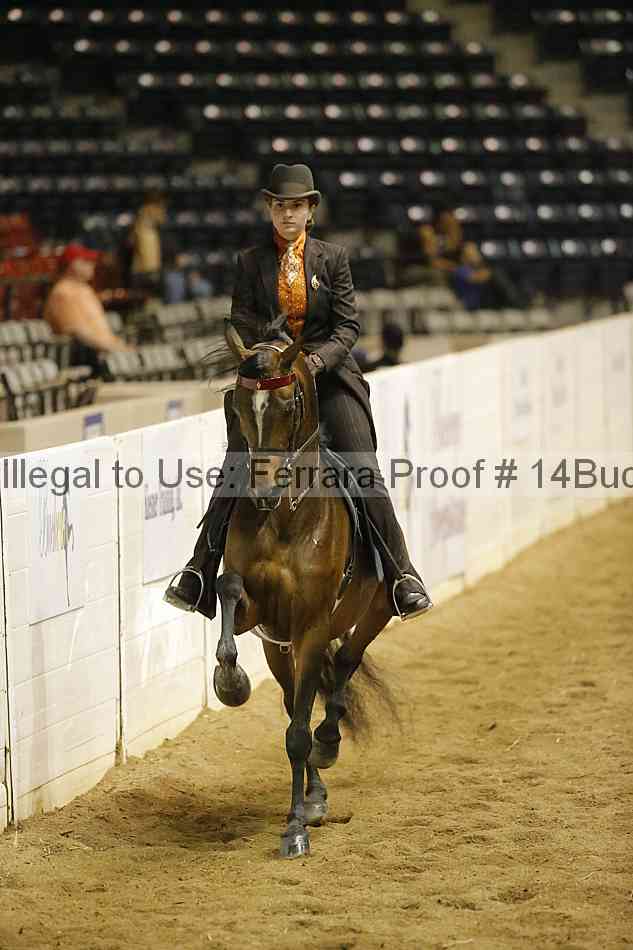 Proof Number 14buck_1960