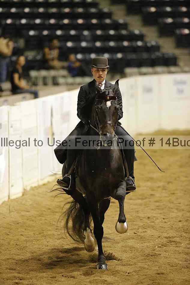 Proof Number 14buck_1962