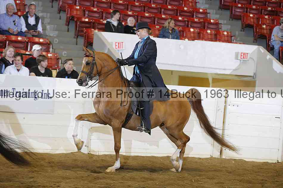 Proof Number 14buck_1963