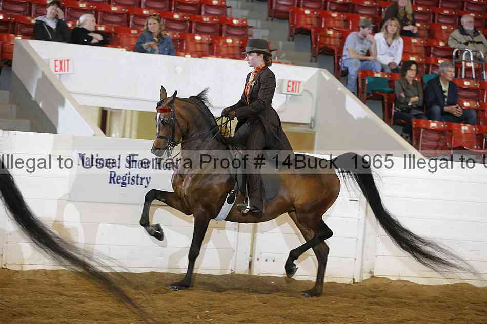 Proof Number 14buck_1965