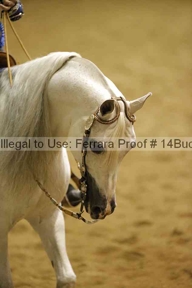 Proof Number 14buck_1993