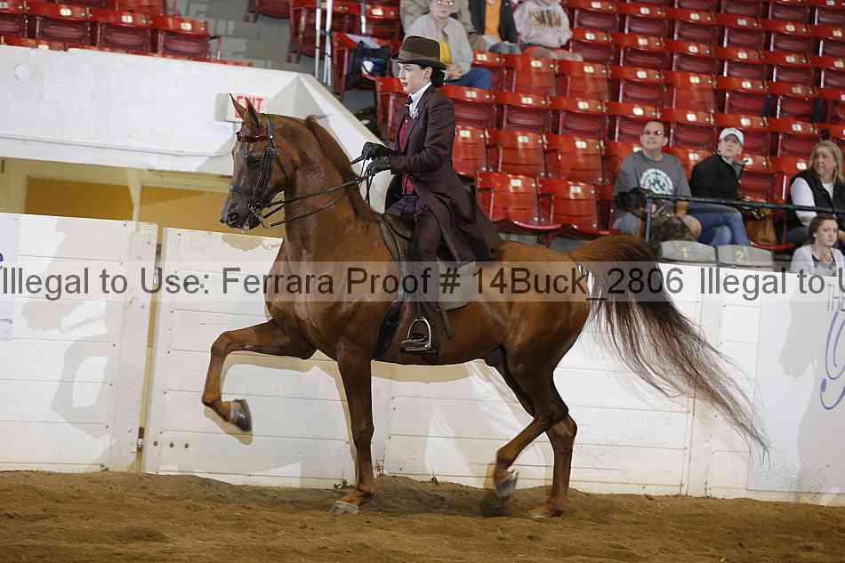 Proof Number 14buck_2806