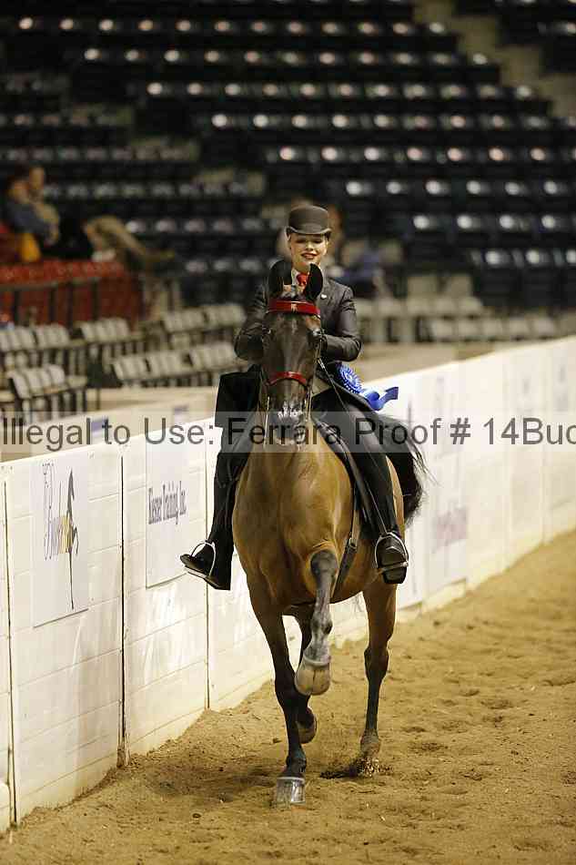 Proof Number 14buck_3010