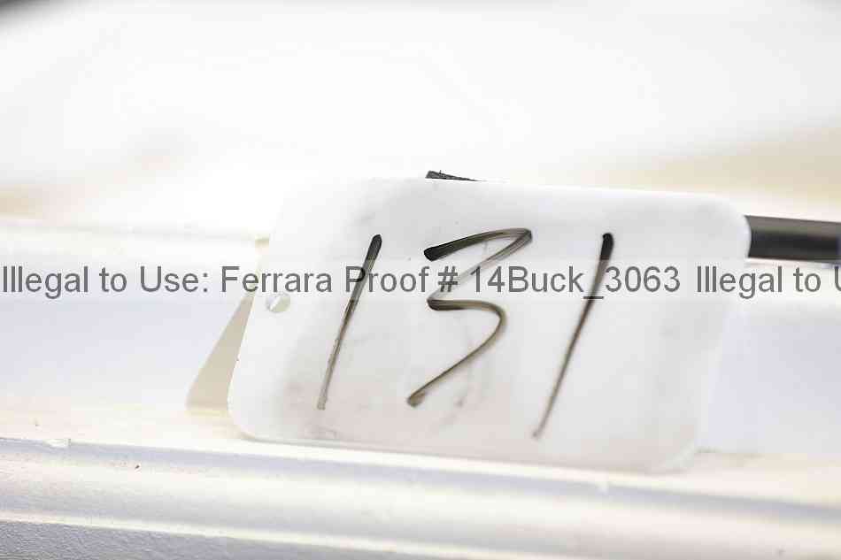 Proof Number 14buck_3063