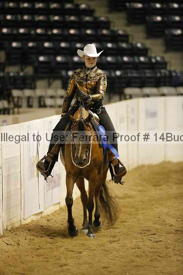 Proof Number 14buck_3140