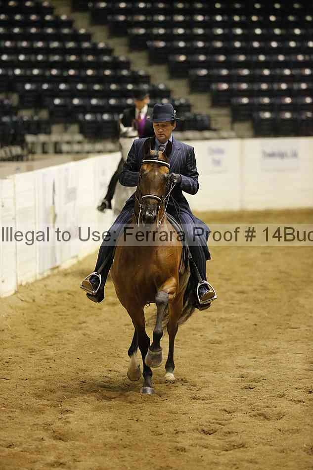 Proof Number 14buck_3159