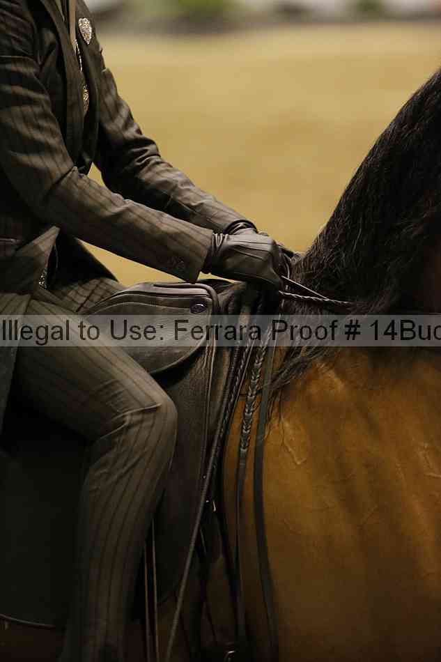 Proof Number 14buck_3264