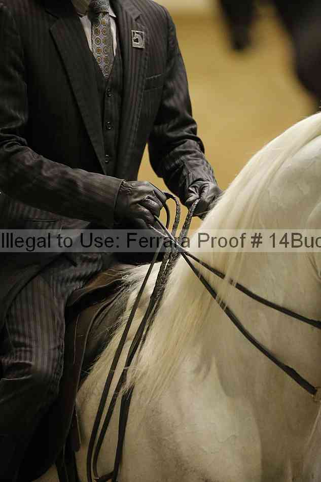 Proof Number 14buck_3265