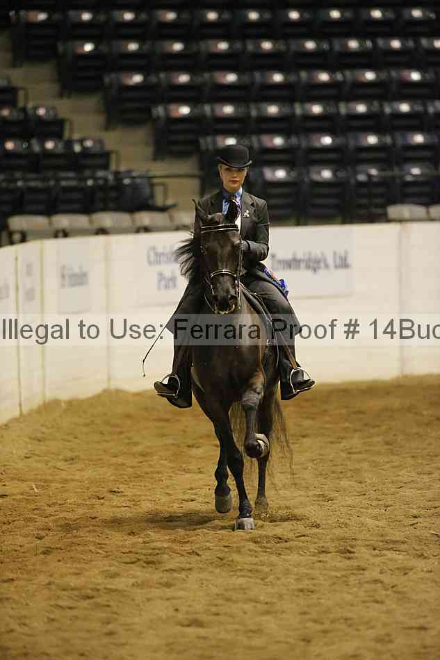 Proof Number 14buck_3307