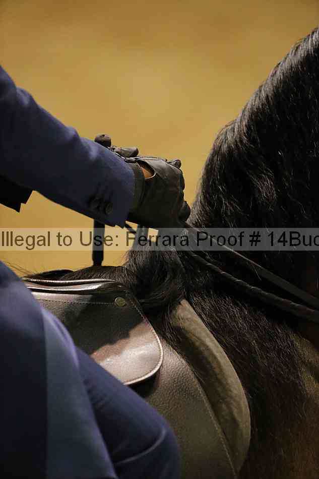 Proof Number 14buck_3416