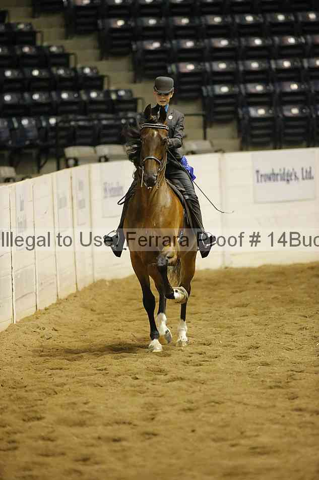 Proof Number 14buck_3439