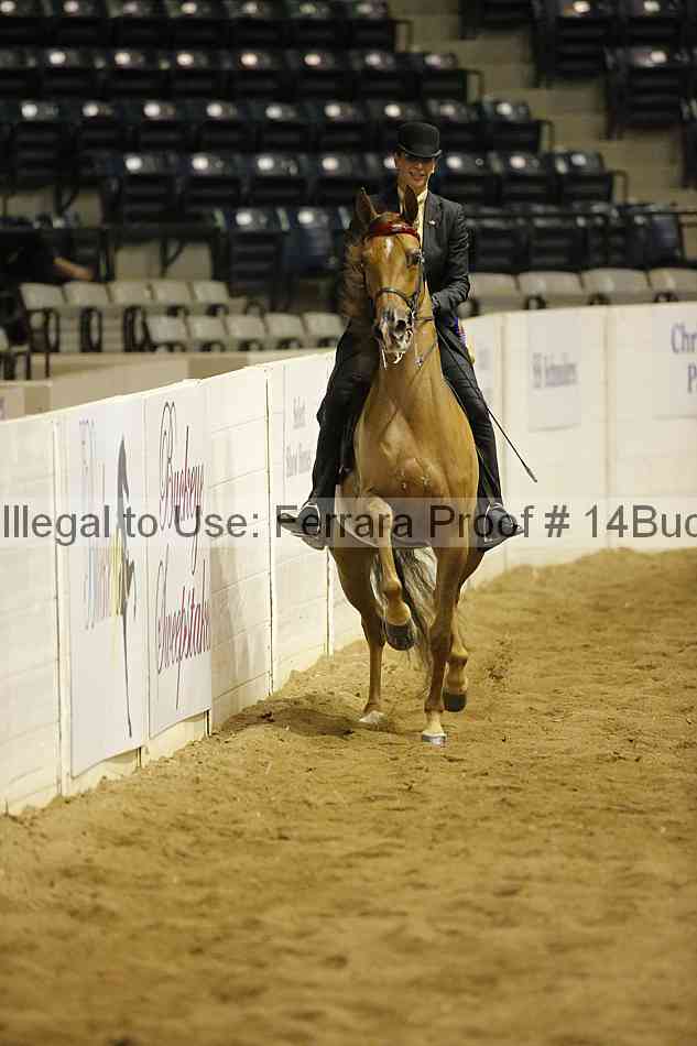 Proof Number 14buck_3558