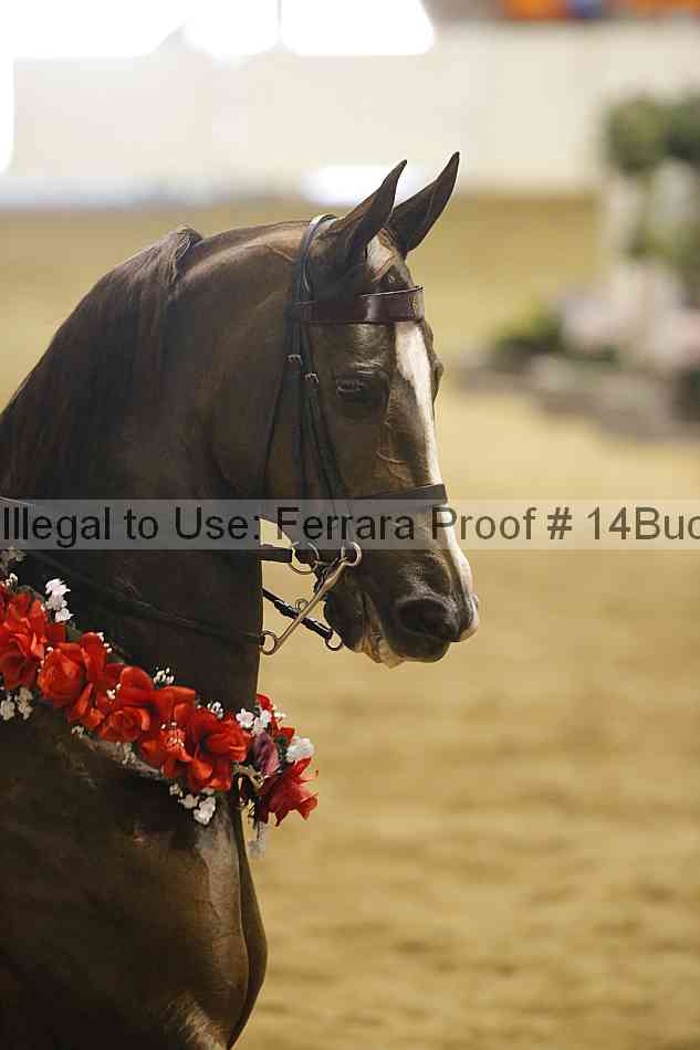 Proof Number 14buck_3580