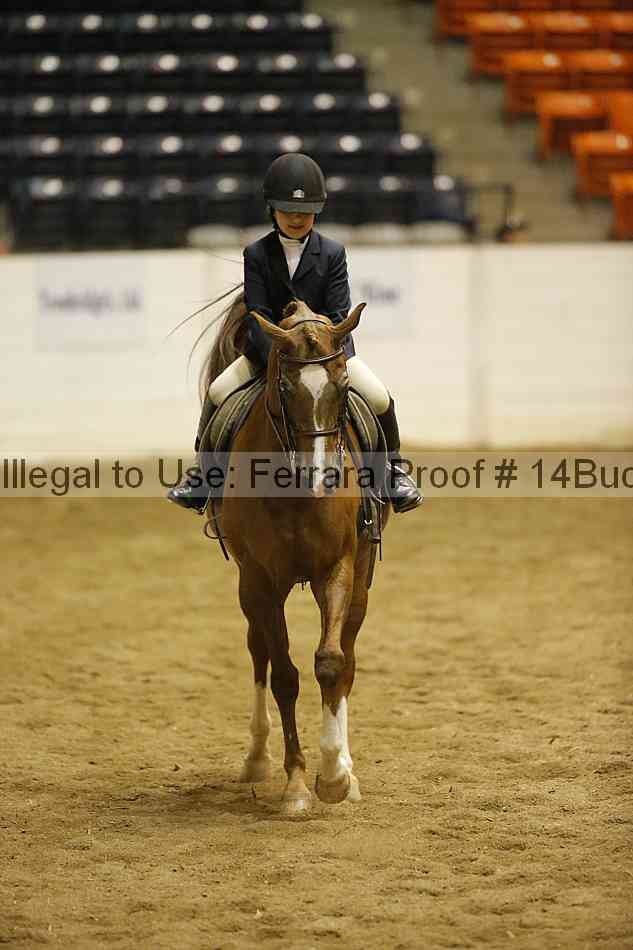 Proof Number 14buck_3618