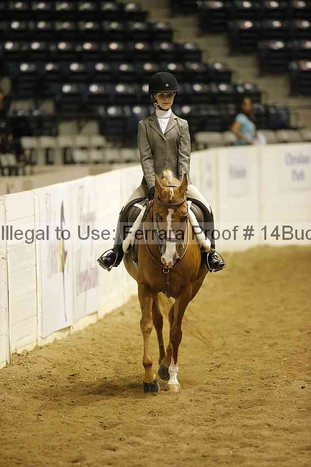 Proof Number 14buck_3625