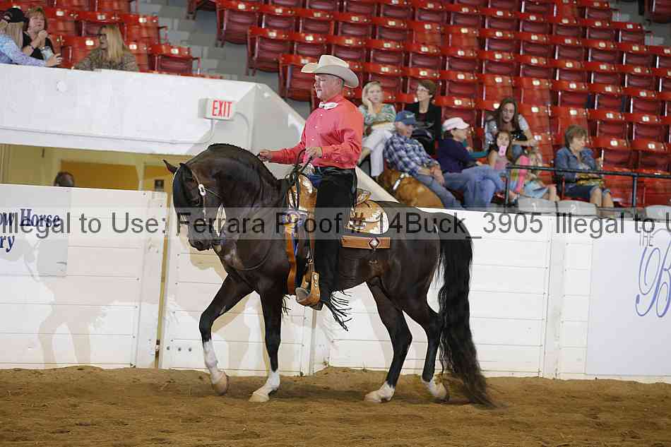 Proof Number 14buck_3905