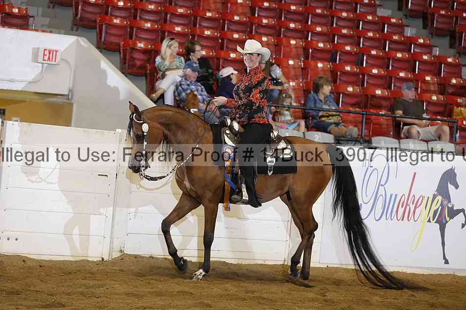 Proof Number 14buck_3907