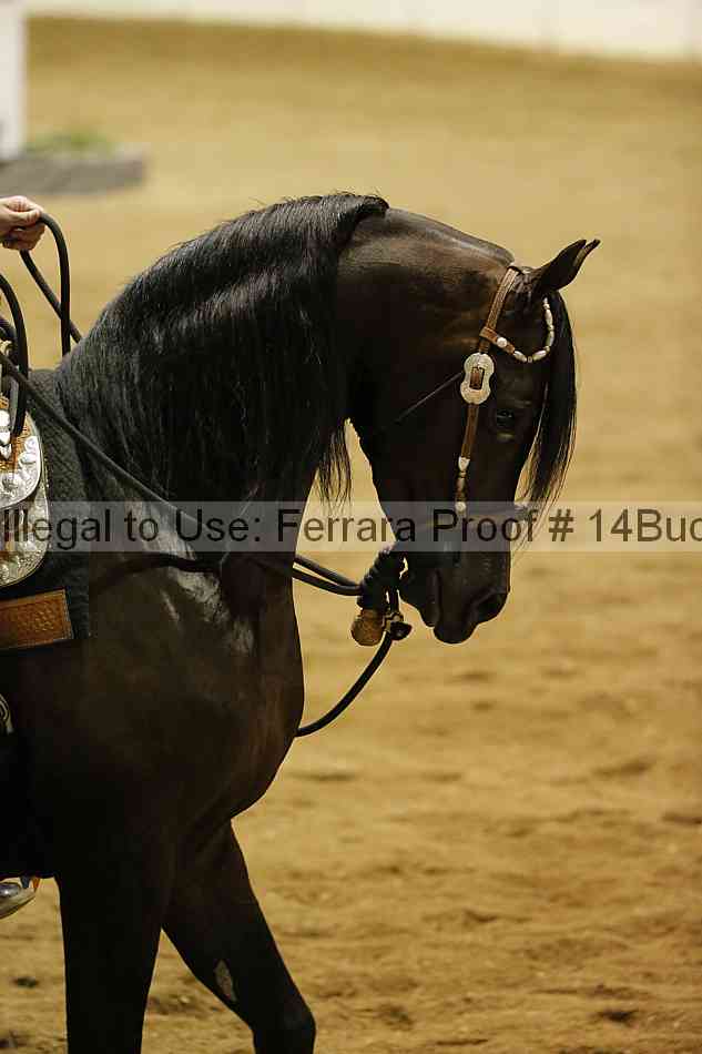 Proof Number 14buck_3908