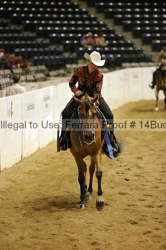 Proof Number 14buck_3909