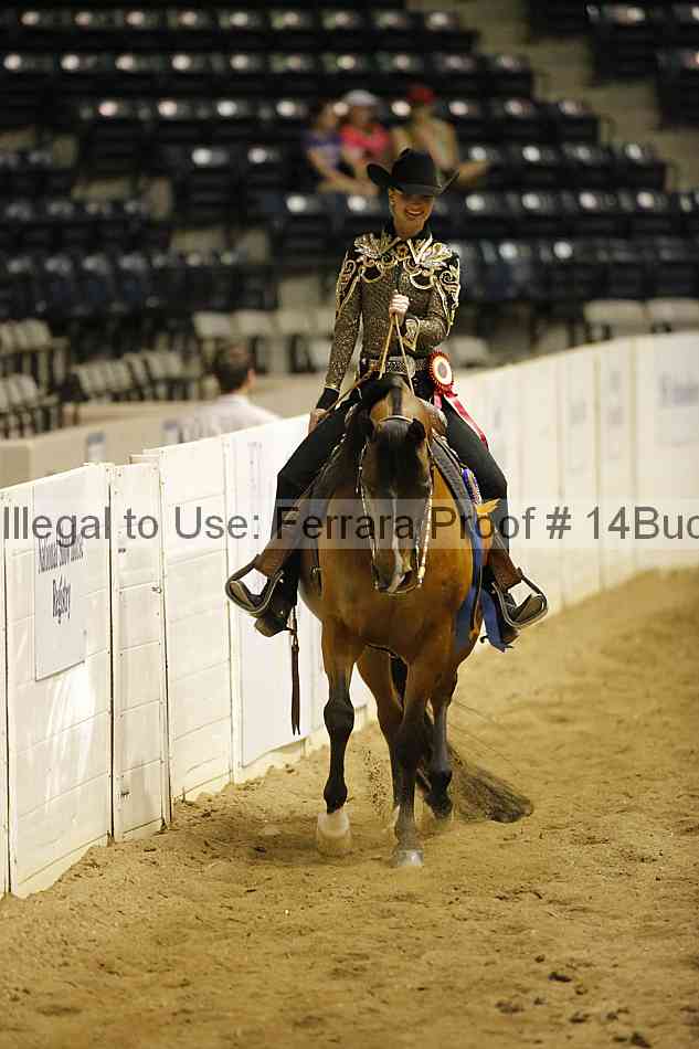 Proof Number 14buck_3912