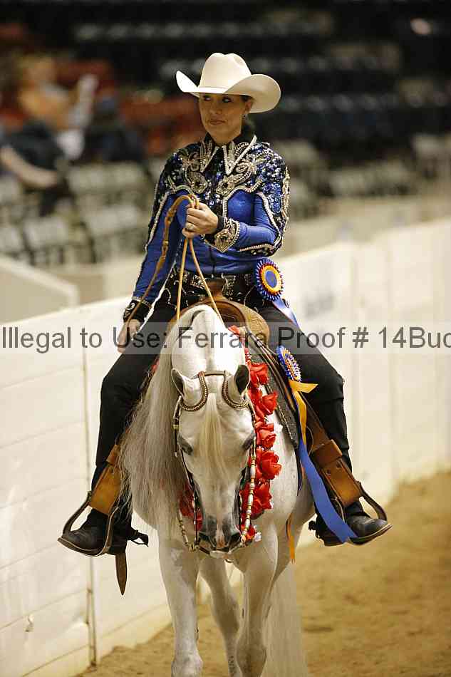 Proof Number 14buck_3923