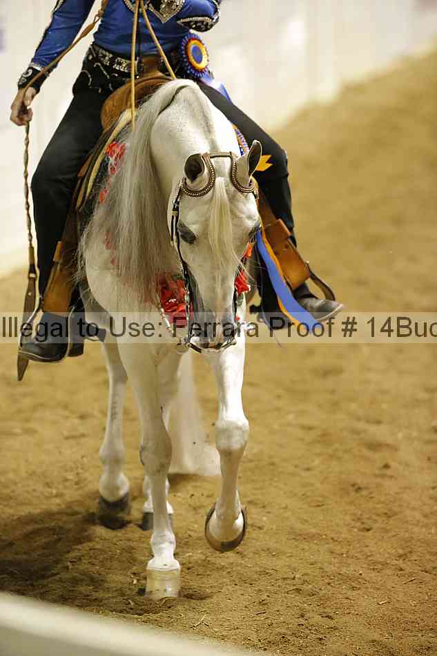 Proof Number 14buck_3924