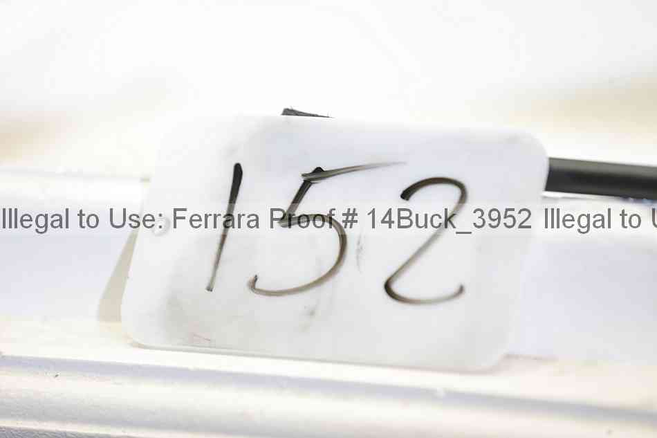 Proof Number 14buck_3952