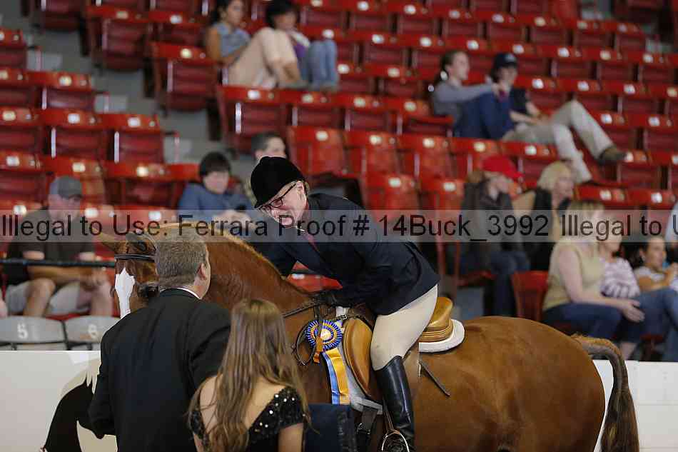 Proof Number 14buck_3992