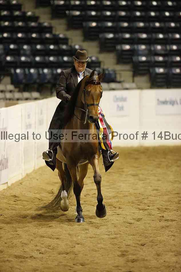 Proof Number 14buck_4109