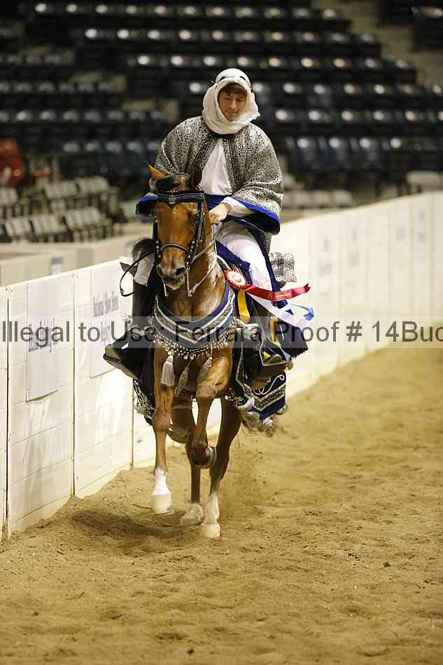 Proof Number 14buck_4178