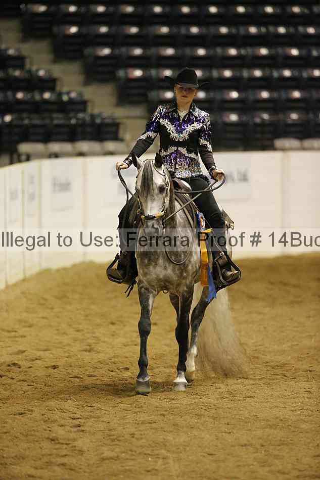 Proof Number 14buck_4319