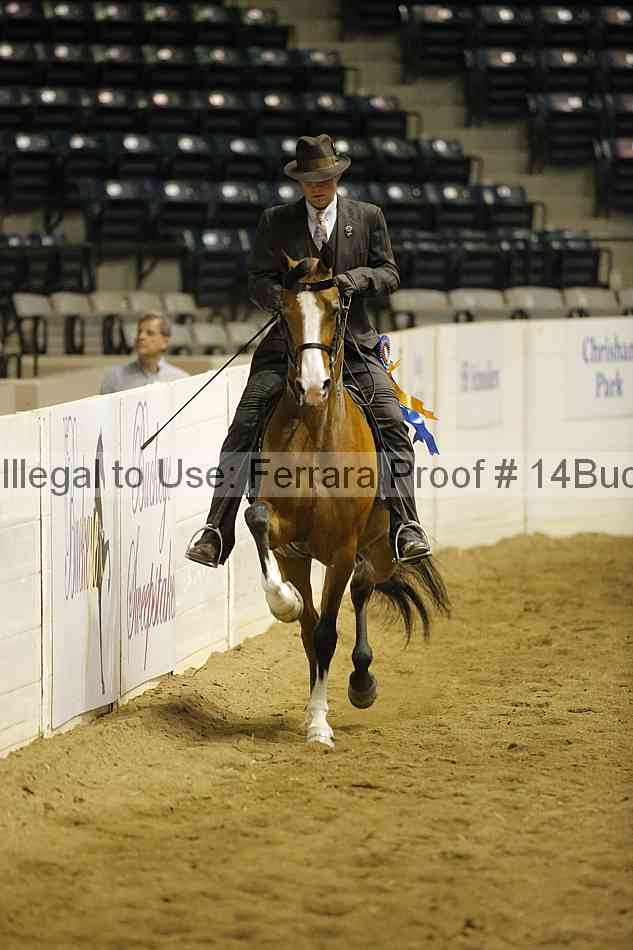 Proof Number 14buck_4368