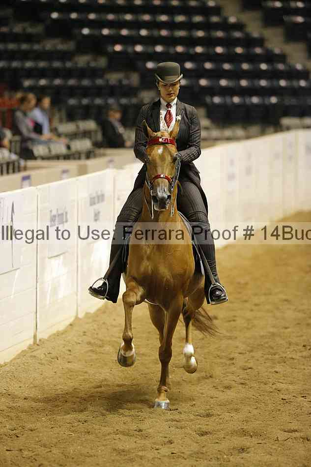 Proof Number 14buck_4490