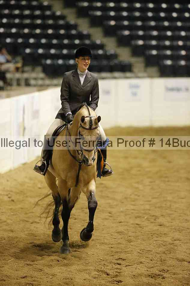 Proof Number 14buck_4695