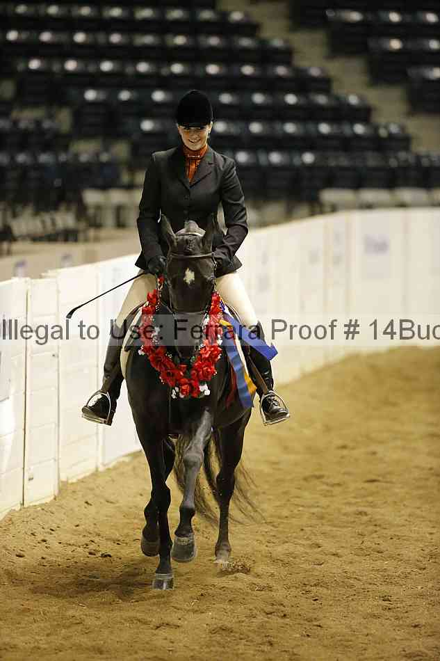Proof Number 14buck_4712