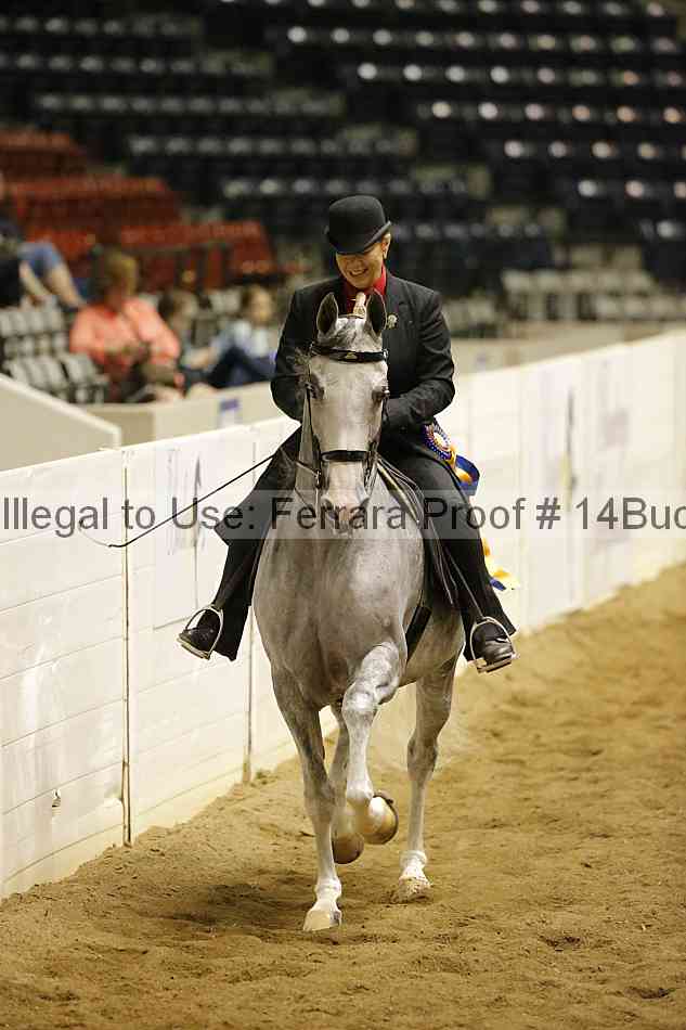 Proof Number 14buck_4741