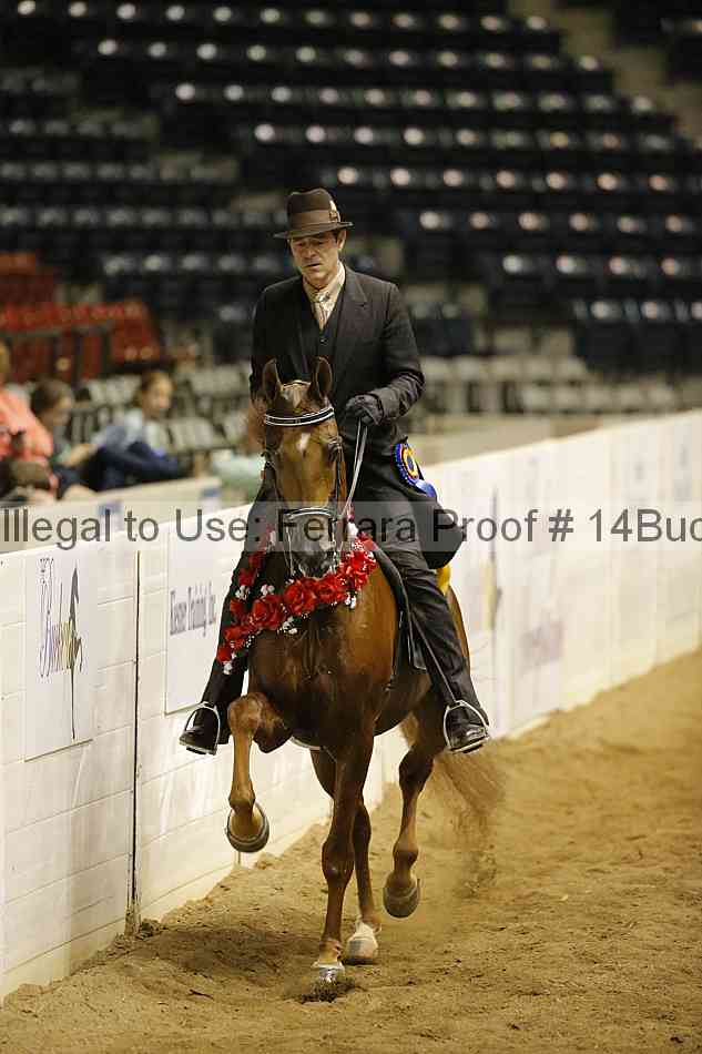 Proof Number 14buck_4755