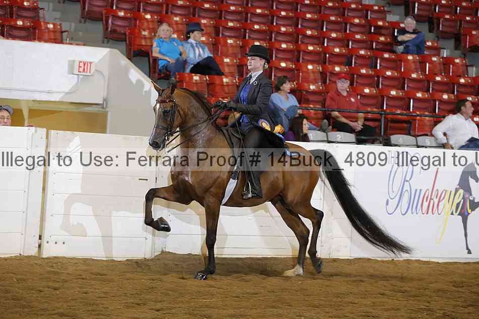 Proof Number 14buck_4809