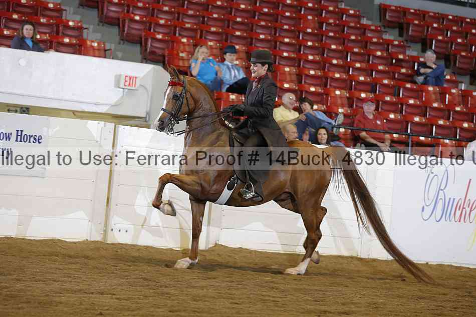 Proof Number 14buck_4830