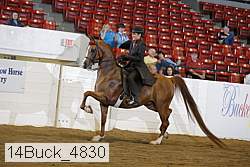 14buck_4830 thumbnail