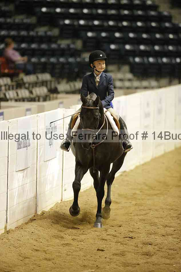 Proof Number 14buck_5591