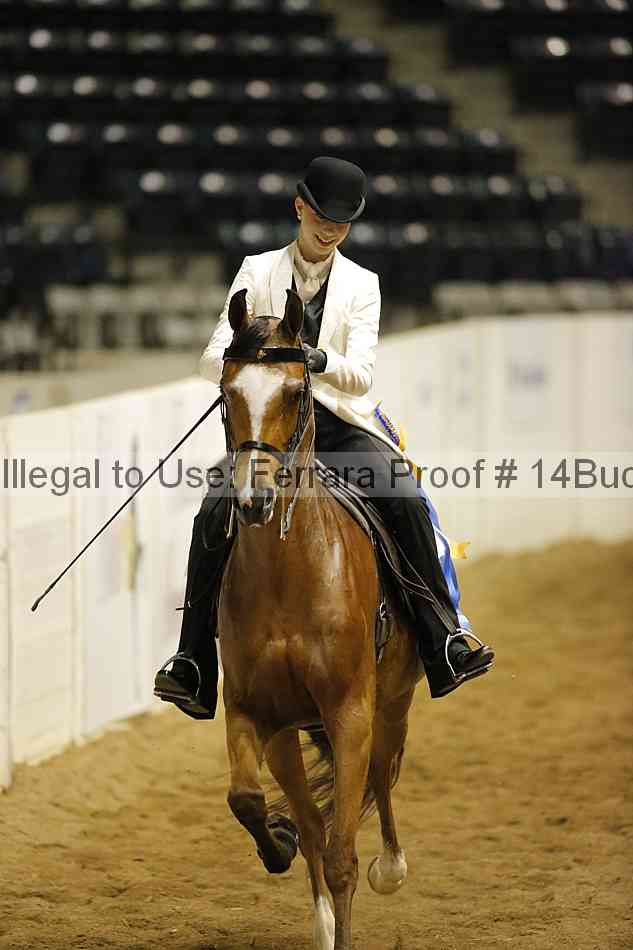 Proof Number 14buck_4979