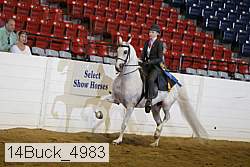 14buck_4983 thumbnail
